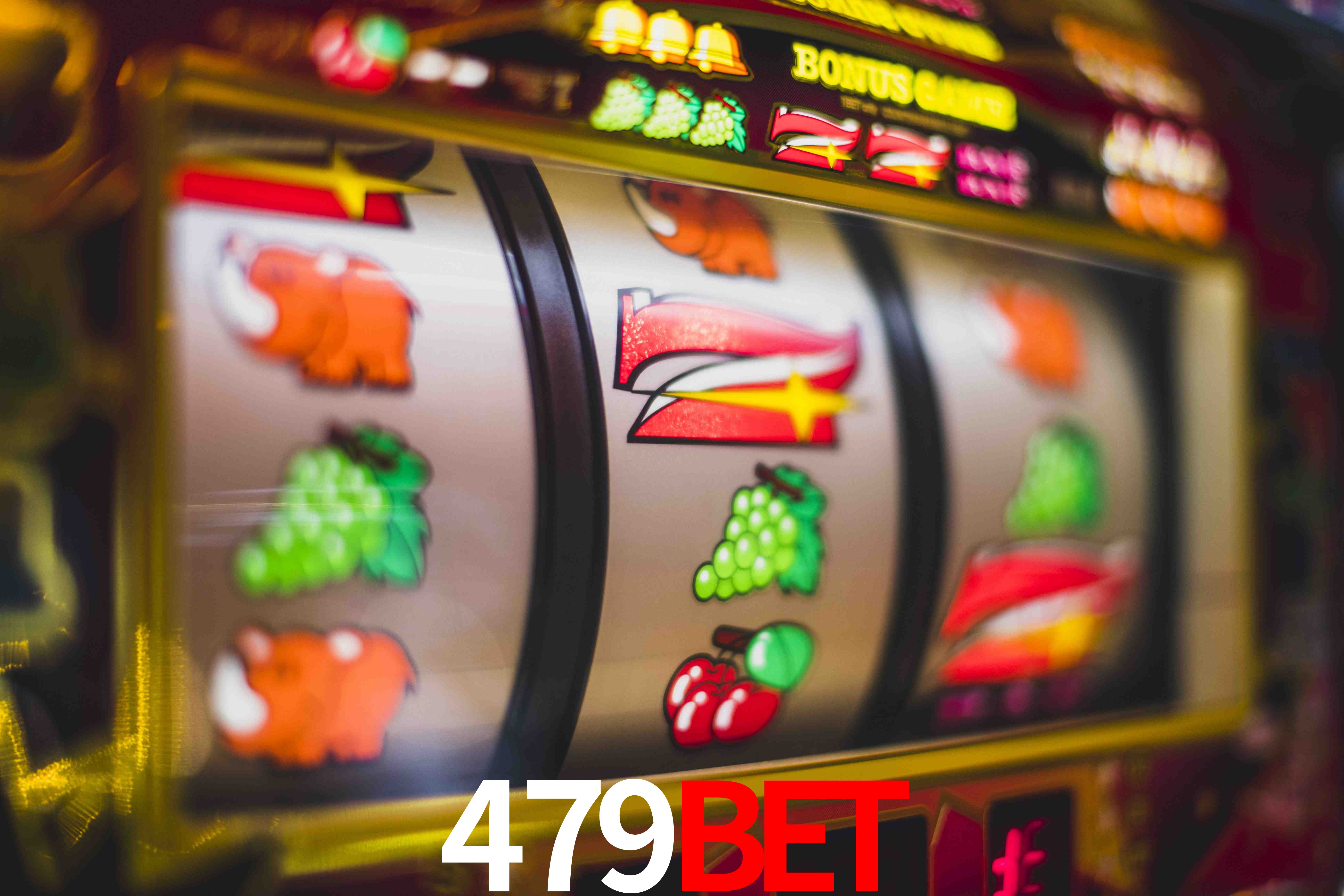 Live Casino 479bet